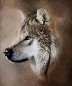 Sand Storm Wolf Paint By Numbers