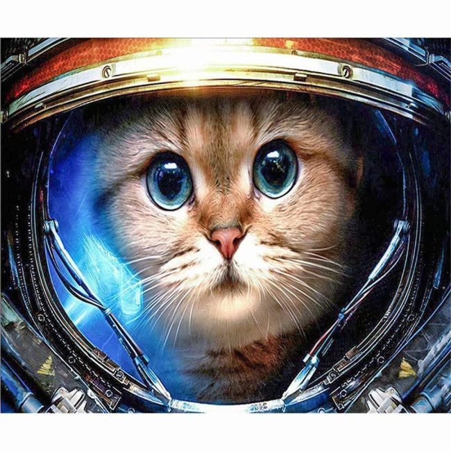 Space Cat Adventure Paint By Numbers