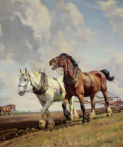 Horse Stallions Paint By Numbers