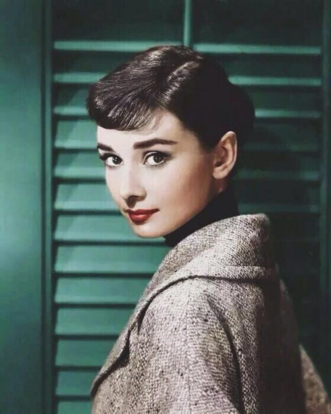 Audrey Hepburn Artistry Paint By Numbers