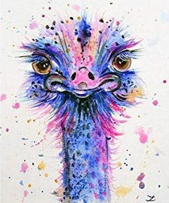 Cute Common Ostrich Paint By Numbers