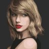 Beautiful Taylor Swift Paint By Numbers