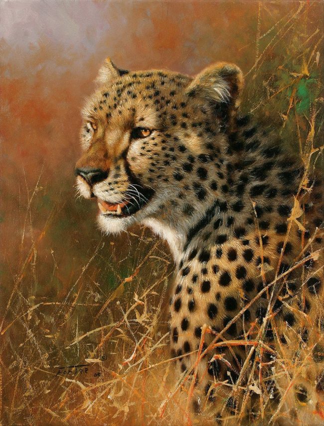 Big Cat Cheetah Paint By Numbers