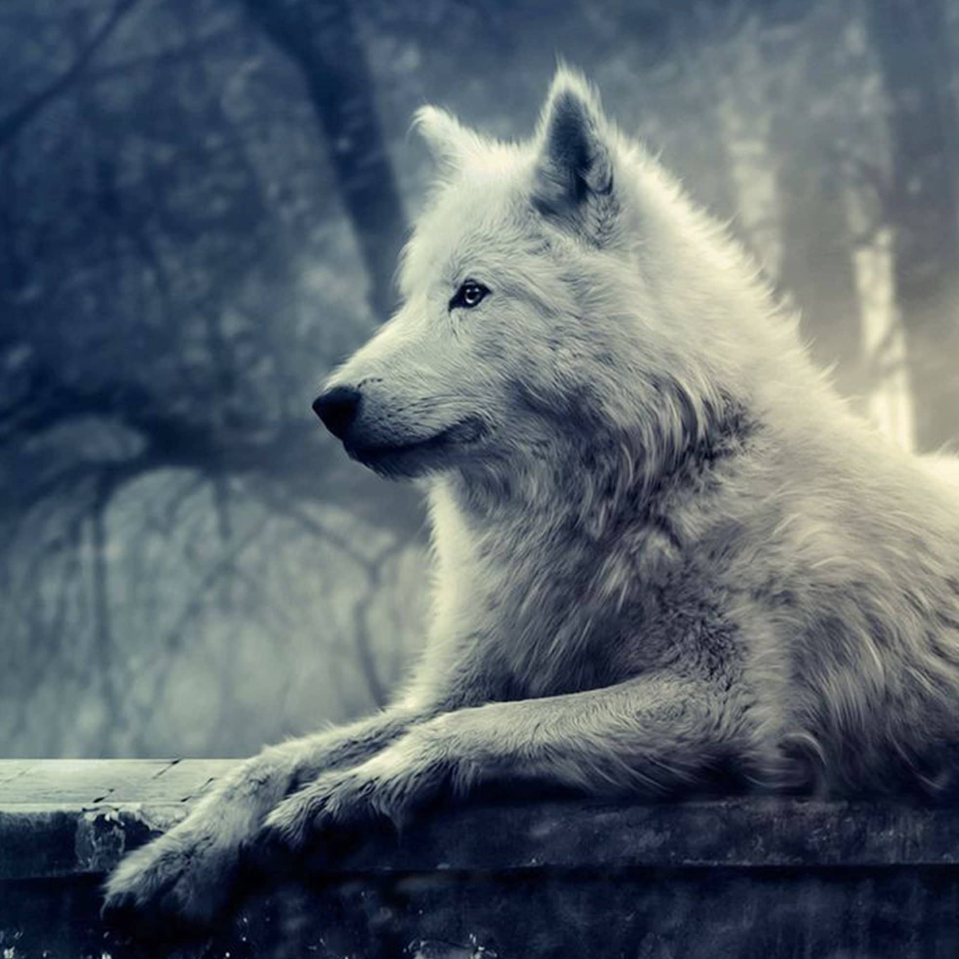 Finalizing Tundra Wolf artwork