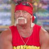 Hulk Hogan Wrestling Icon Paint By Numbers