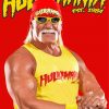 Hulk Hogan WWE Legend Paint By Numbers