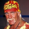 Hulk Hogan Wrestling Legend Paint By Numbers