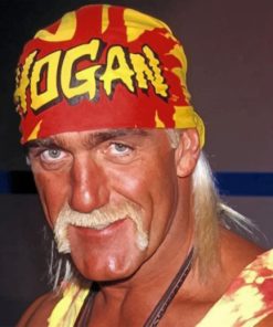 Hulk Hogan Wrestling Legend Paint By Numbers
