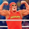 Hulk Hogan WWE Paint By Numbers