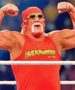 Hulk Hogan WWE Paint By Numbers