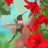 Hummingbird and Vibrant Flowers Paint By Numbers