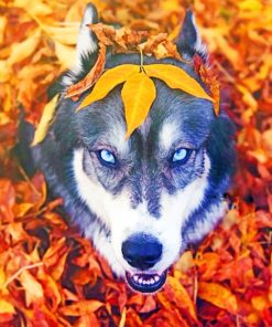 Autumn Husky Paint By Numbers