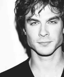 Ian Somerhalder Fan Art Paint By Numbers