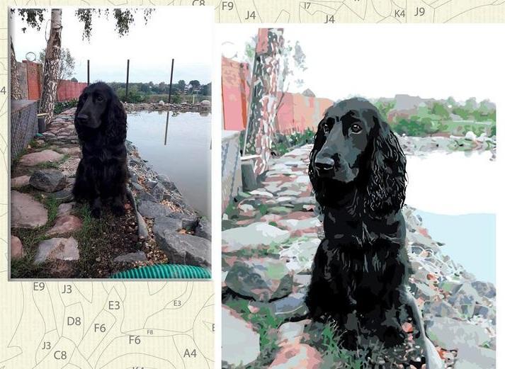 Create Your Own Picture Paint By Numbers final artwork