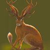 Majestic Jackalope Paint By Numbers