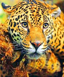 Jaguar and Tigers Paint By Numbers