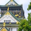Osaka Castle Japan Paint By Numbers