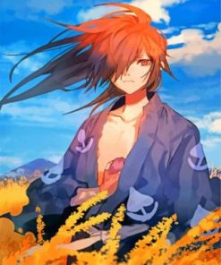 Japanese Warriors Dororo Paint By Numbers