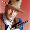 John Wayne Cowboy Paint By Numbers