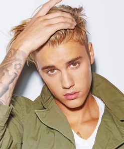 Justin Bieber Celebrities Paint By Numbers