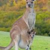 Australian Kangaroo Wildlife Paint By Numbers