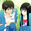 Kimi ni Todoke Manga Romance Paint By Numbers