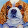King Charles Spaniel Paint By Numbers