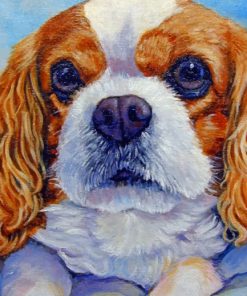 King Charles Spaniel Paint By Numbers