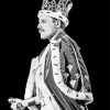 Freddie Mercury Black and White Paint By Numbers