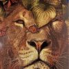 Majestic Lion and Colorful Butterflies Paint By Numbers