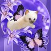 Purple Kitten and Butterflies Paint By Numbers