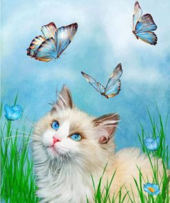 Kitten and Butterfly Delight Paint By Numbers