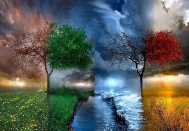 Four Season Tree Landscape Paint By Numbers