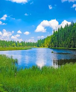 Kleiner Arbersee Lake Scenic Paint By Numbers