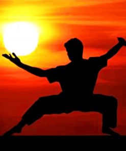 Kung Fu Silhouette Inspiration Paint By Numbers
