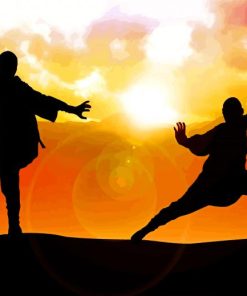 Kung Fu Silhouette Paint By Numbers