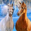 White and Yellow Horses Paint By Numbers