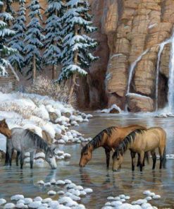 Horse Herd River Scene Paint By Numbers