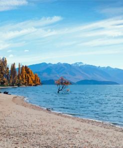 Lake Wanaka New Zealand Paint By Numbers
