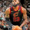 LeBron James Cavaliers Paint By Numbers