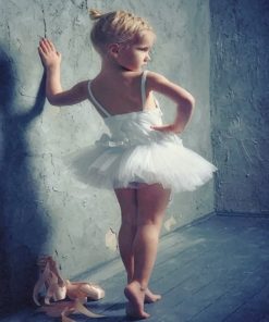 Little Ballerina Ballet Paint By Numbers