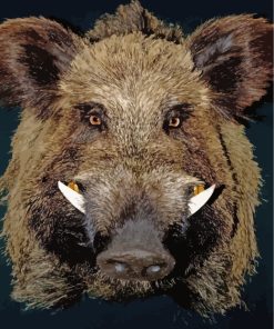 Little Boar Animal Paint By Numbers