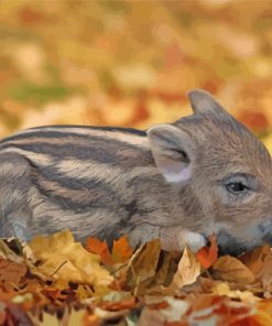 Baby Boar Animal Paint By Numbers