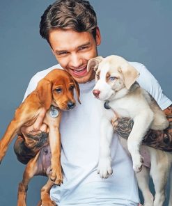Liam Payne Singer Puppies Paint By Numbers