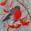 Lonely Bullfinch Bird Paint By Numbers