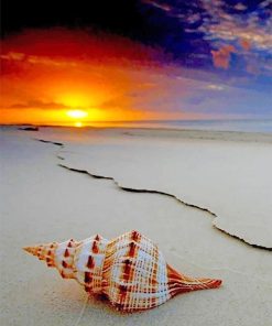 Lonely Shellfish Seascape Paint By Numbers