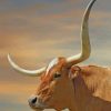 Brown Longhorn Bull Paint By Numbers