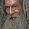 Lord of the Rings Gandalf Paint By Numbers