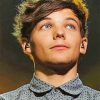 Louis Tomlinson Icon Paint By Numbers