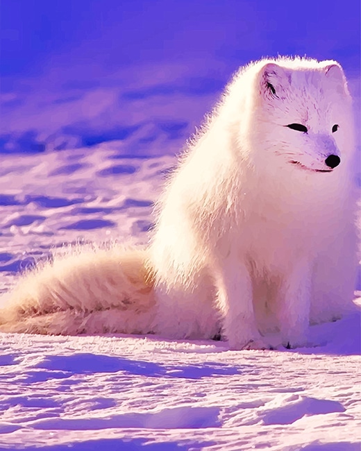 Finalizing artwork of Arctic Fox Kit